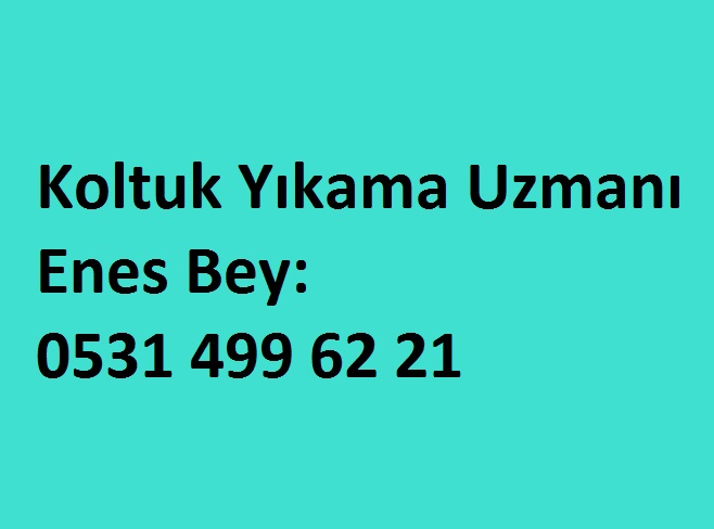 Bahçelievler Koltuk Yıkama